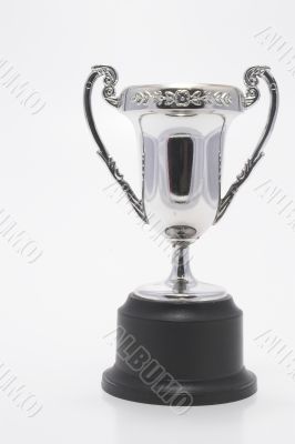 Trophy - Championship Cup