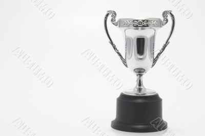 Trophy - Championship Cup