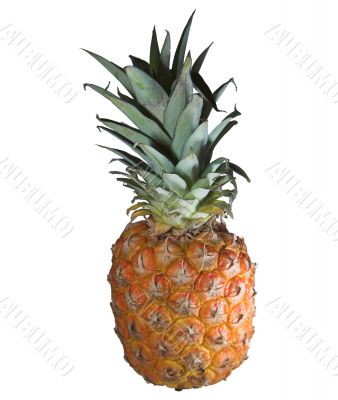 pineapple