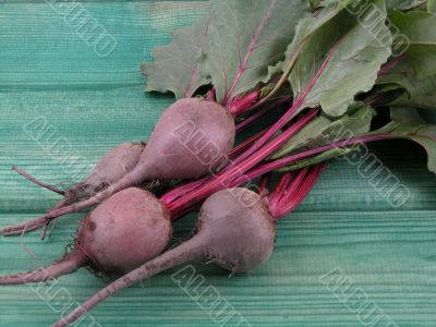 beetroot