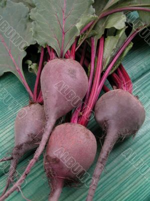beetroot