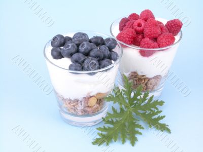 light breakfast