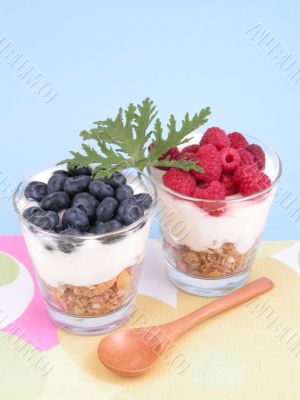 light breakfast
