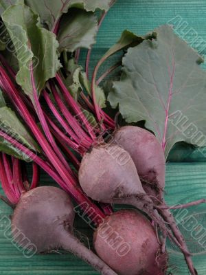 beetroot