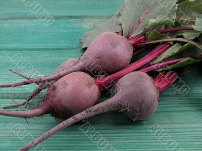 beetroot