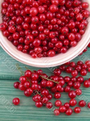red currants
