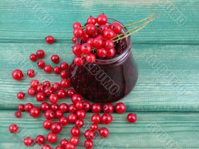 redcurrants jam