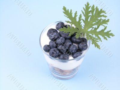 light breakfast