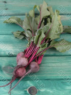 beetroot