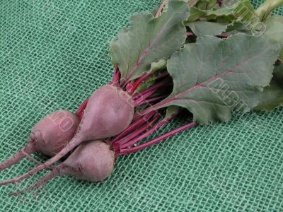 beetroot