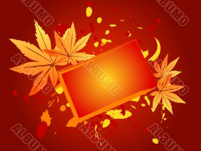 Autumn leaves