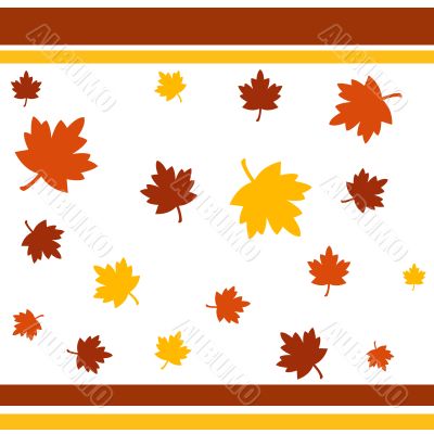 Autumn leaves