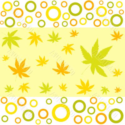 Autumn leaves