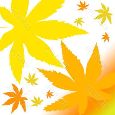 Autumn leaves