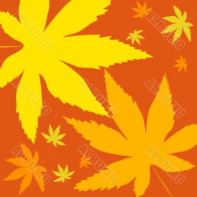 Autumn leaves