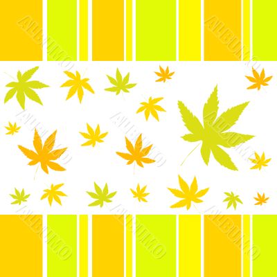 Autumn leaves