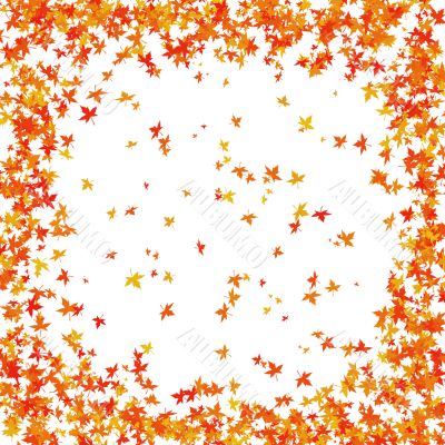 Autumn leaves