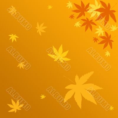 Autumn leaves