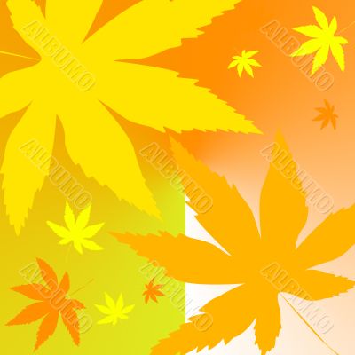 Autumn leaves