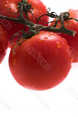 tomatos