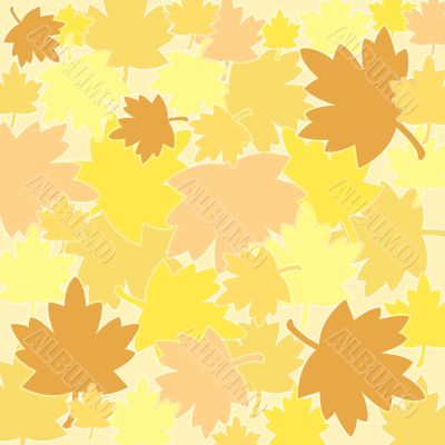 Autumn leaves