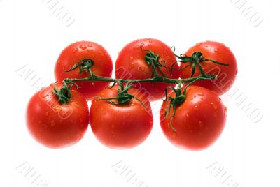 tomatos
