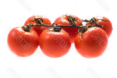 tomatos
