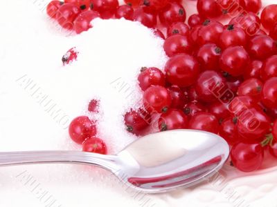 red currants