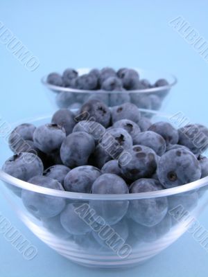 blueberries