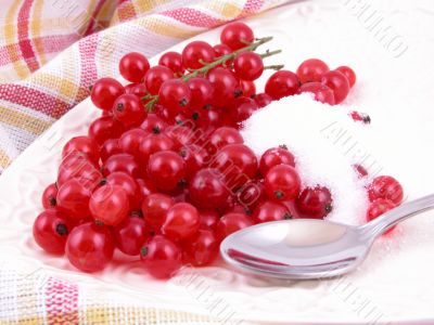 red currants
