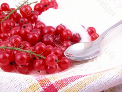 red currants