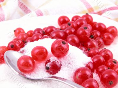 red currants