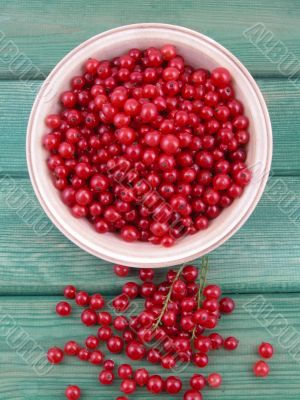 red currants