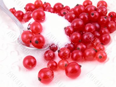 red currants