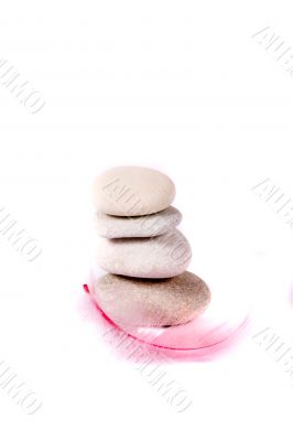 rock and pink feather