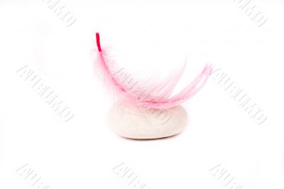 rock and pink feather