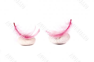rock and pink feather