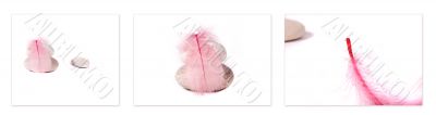 pink feather and rocks