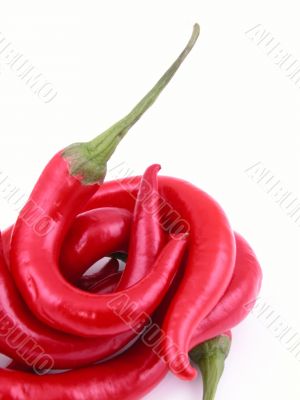 hot and spicy