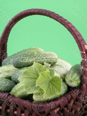 cucumbers