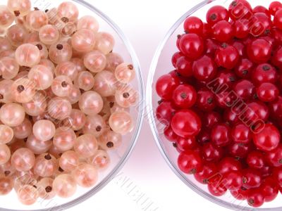 currants