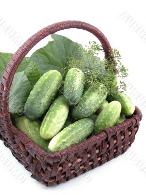 cucumbers