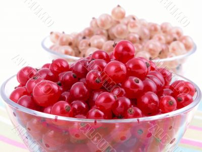 currants
