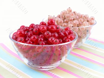 currants