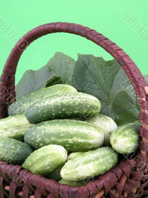 cucumbers