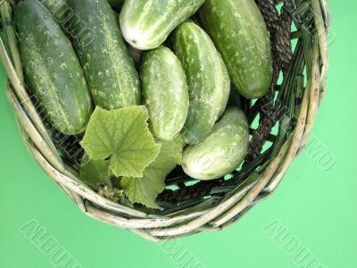 cucumbers