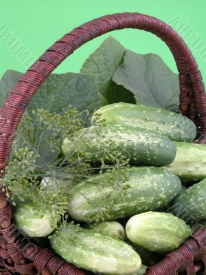 cucumbers