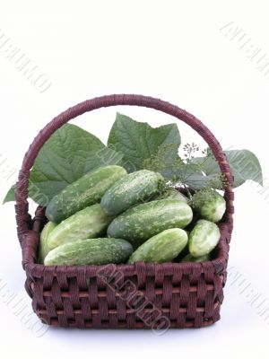 cucumbers