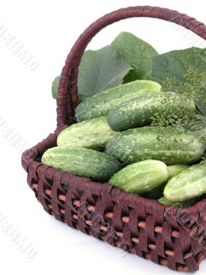cucumbers