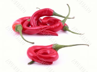 hot and spicy